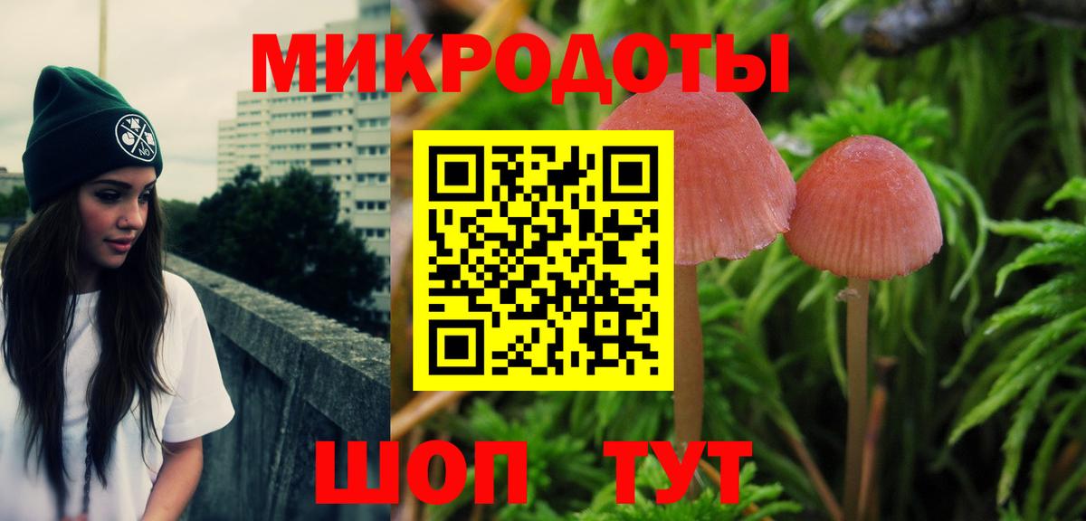 Псилоцибиновые грибы MAGIC MUSHROOMS  Вход с VPN  Бузулук 